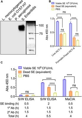 Mammalian Cell-Based Immunoassay for Detection of Viable Bacterial Pathogens